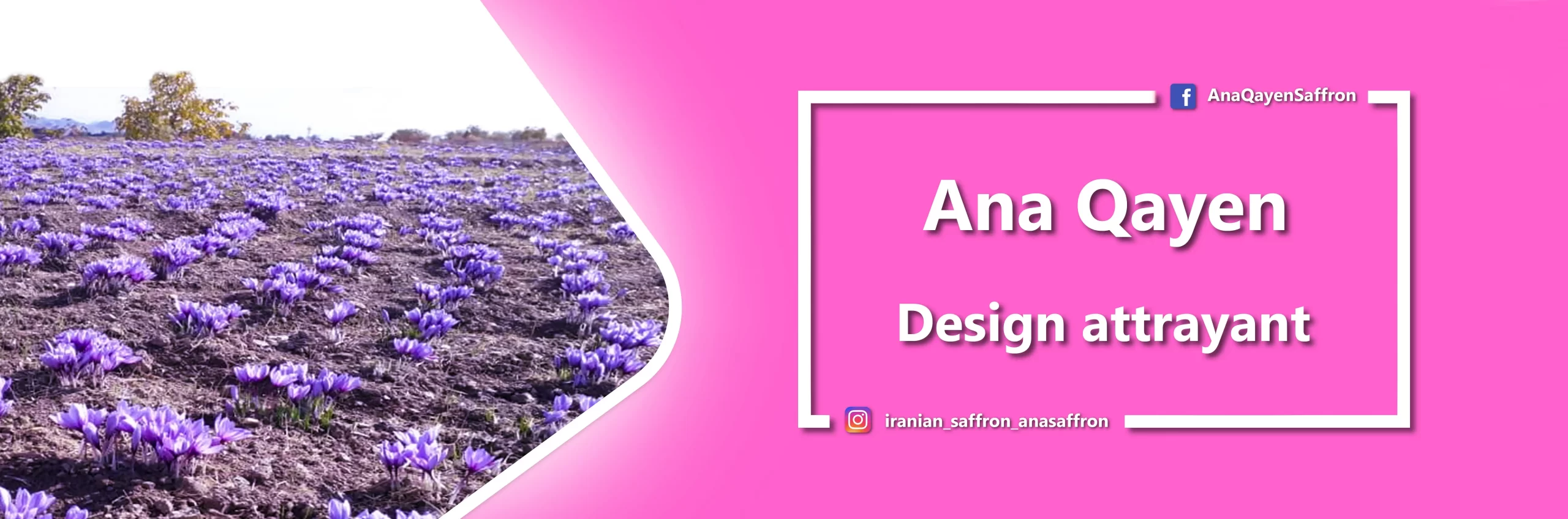 ana royal safran