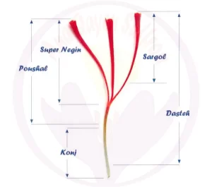 types de safran - Ana Royal safran