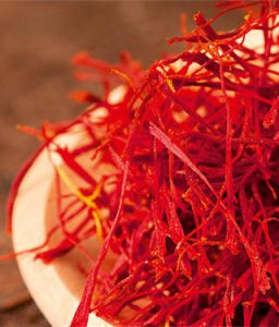 Cultiver le safran commercialement