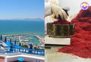 Vendre du safran en Tunisie - Ana Royal Safran