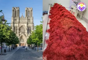 Acheter du safran en gros à Reims - Ana Royal Safran