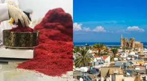 Acheter du safran iranien en Côte d'Ivoire - Ana Royal safran