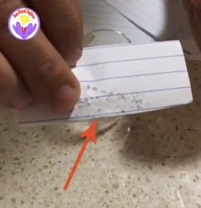 Faux saffron