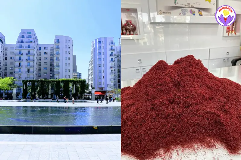 Safran à Villeurbanne