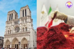 Vente de safran à Dijon