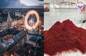 Fournisseur de safran à Lille