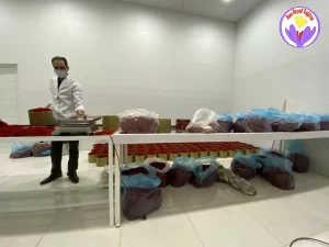 safran prix au congo