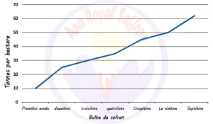 rentabilité culture du safran en france
