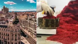 Prix du safran en Espagne